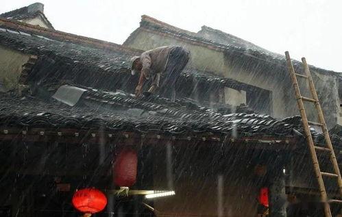 潮汕木屋爆料事件视频,揭秘当地传统民居现状 第3张 潮汕木屋爆料事件视频,揭秘当地传统民居现状 第3张